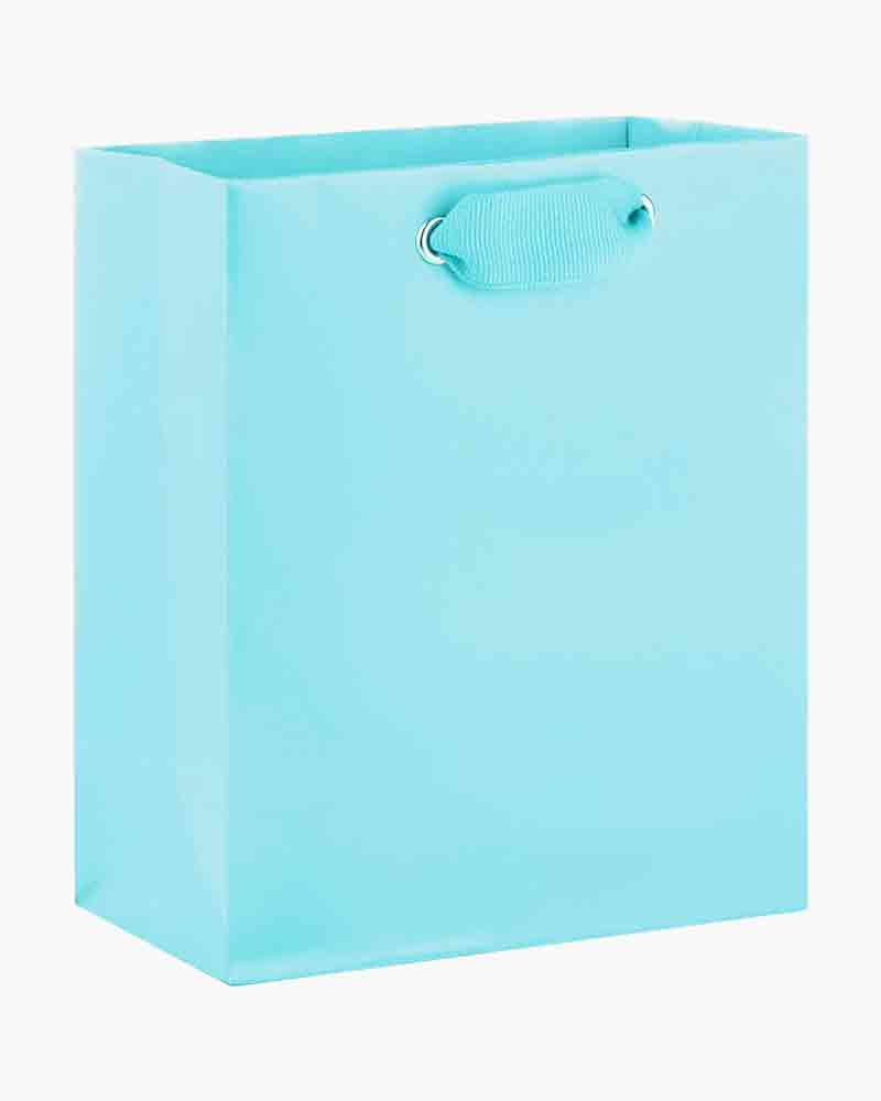 small teal gift bags