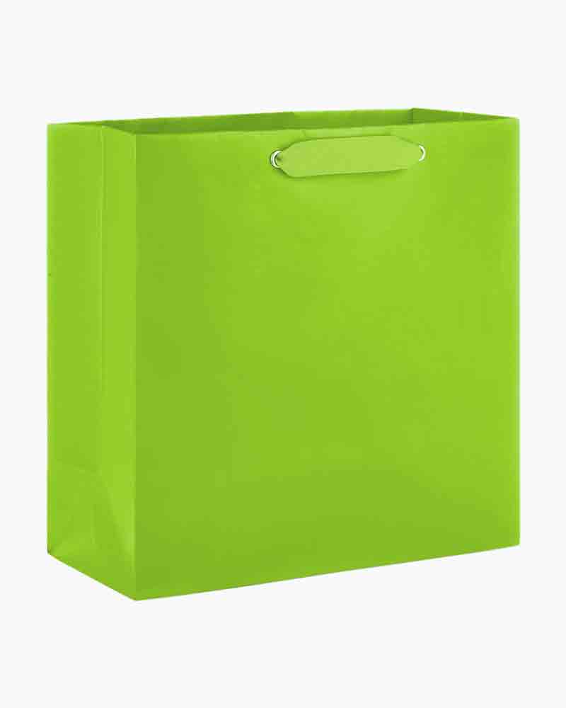 large square gift bag