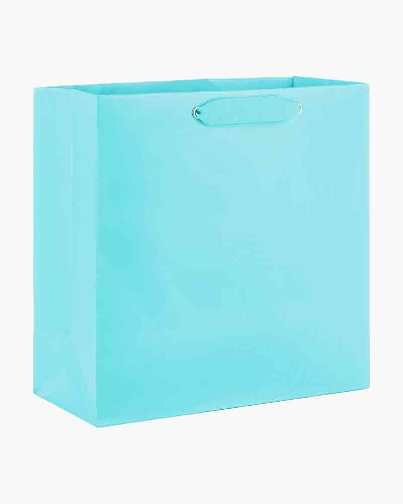 large square gift bag