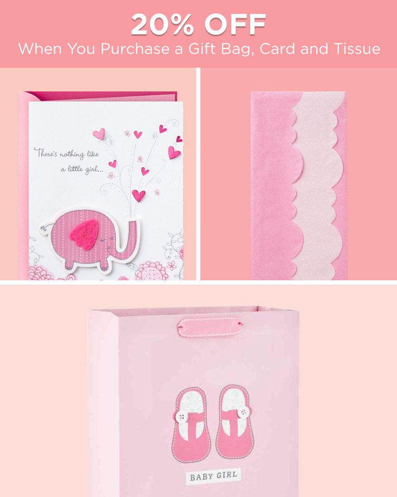 baby girl gift bag