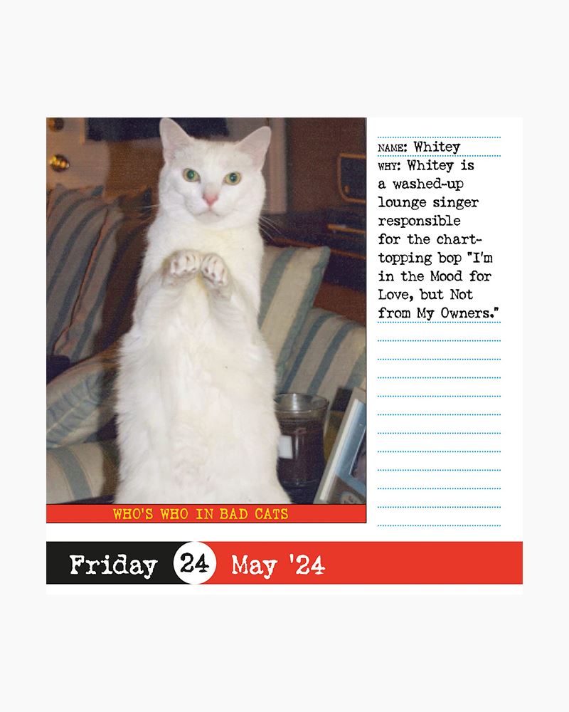 Bad Cat Page-A-Day Calendar 2024: 365 Not-so-Pretty Kitties