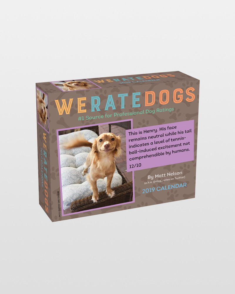 we rate dogs desk calendar