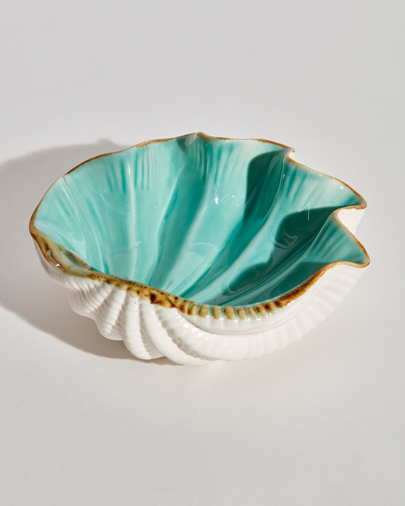 clam shell bowl