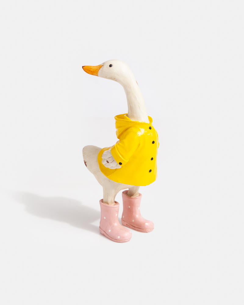 duck wearing boots