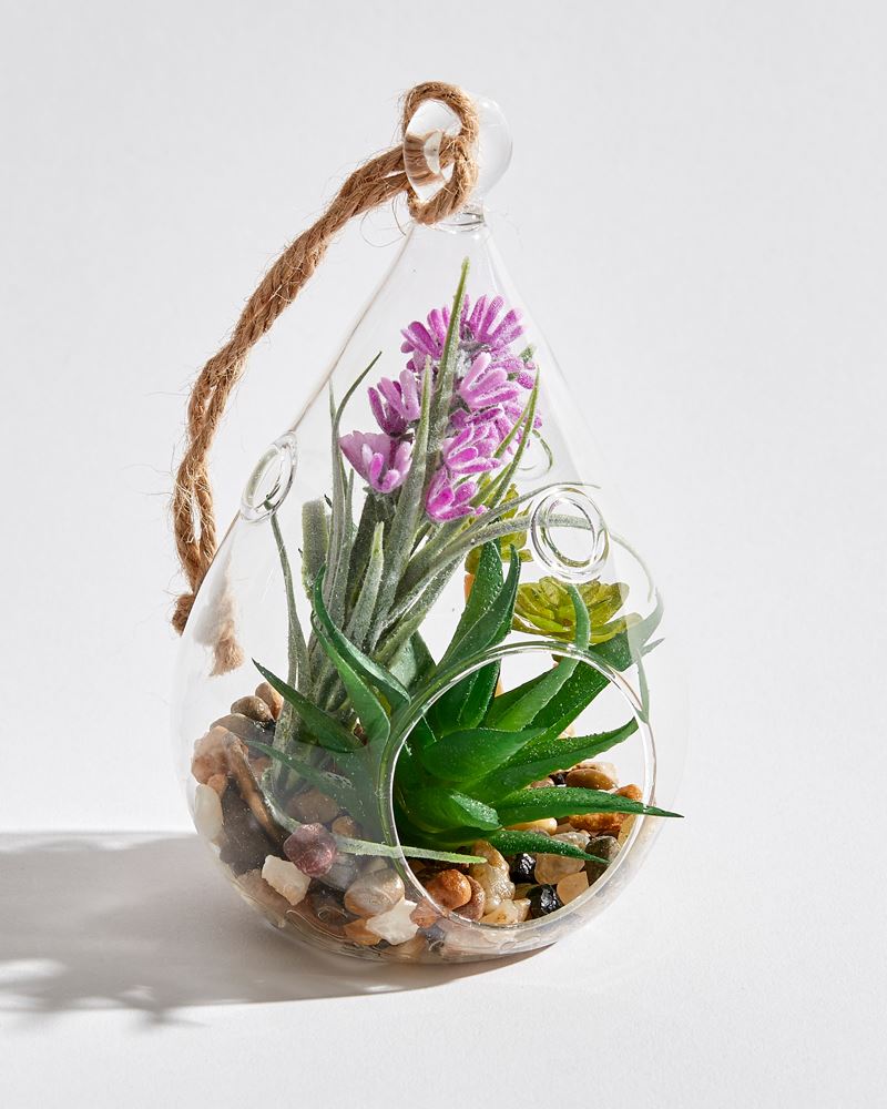 Download Hanging Faux Succulent in Glass Terrarium (Assorted) | The Paper Store