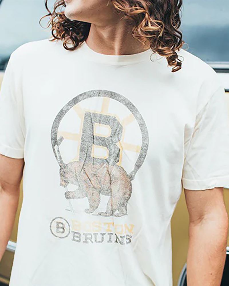 NHL Boston Bruins Team Wordmark Heather Grey Long Sleeve Shirt