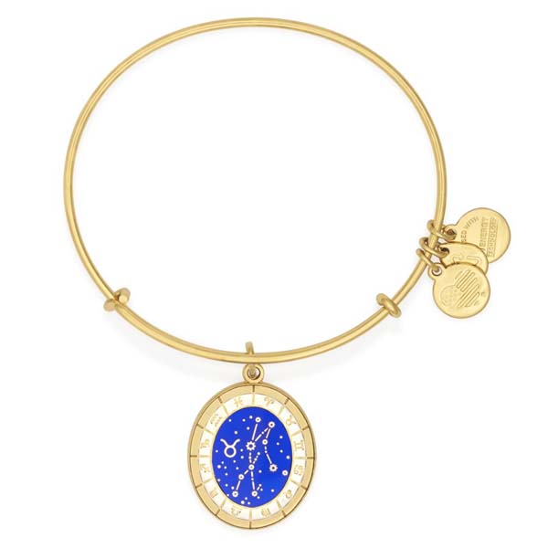 Alex and ani store taurus bracelet