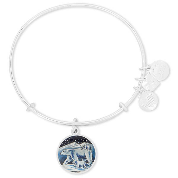 Alex and ani sale bear bracelet