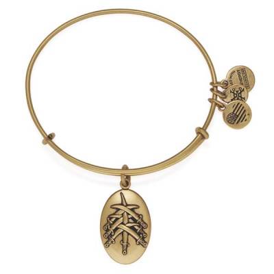 Alex and ani discount seven swords set