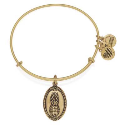 Alex and ani discount pineapple charm bangle meaning