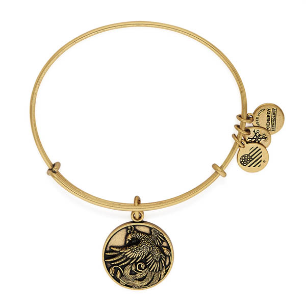 Alex and ani hot sale sympathy bracelet