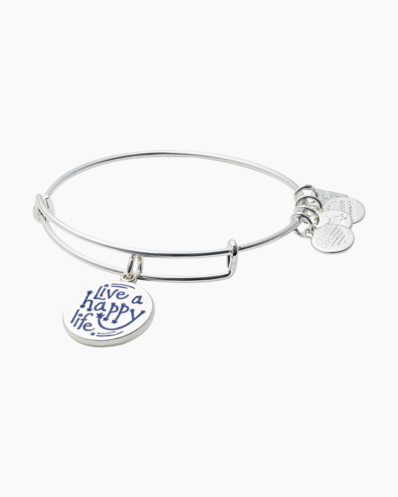 Joe andruzzi foundation discount alex and ani