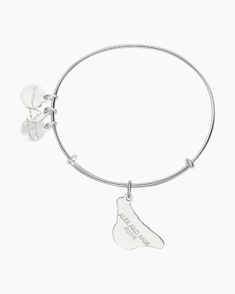 ALEX AND ANI Monarch Butterfly Charm Bangle |Roger Williams Park Zoo ...