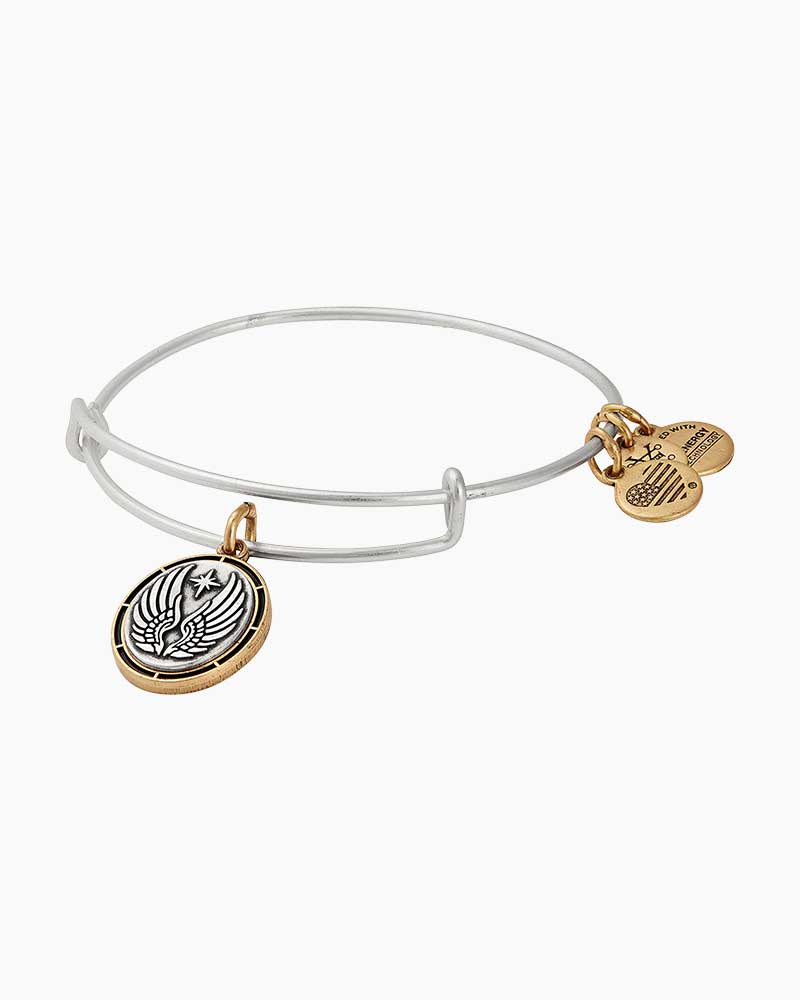 alex and ani guardian angel charm bangle