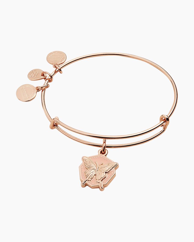 Path of life sale color infusion charm bangle