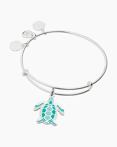 Alex And Ani Sea Turtle 2024 | www.wsdodgeoil.com