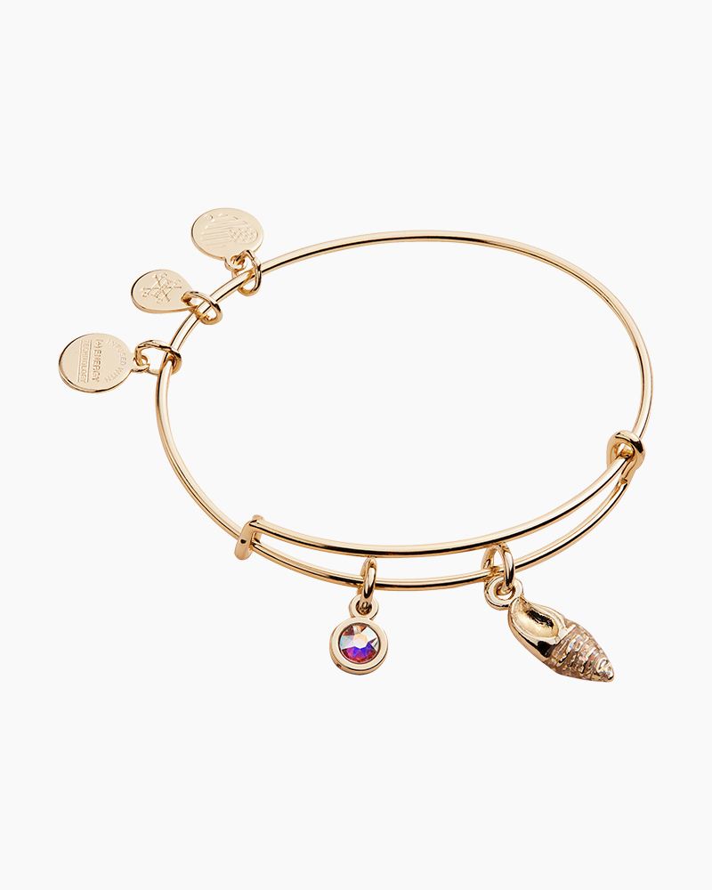 alex and ani conch shell bracelet