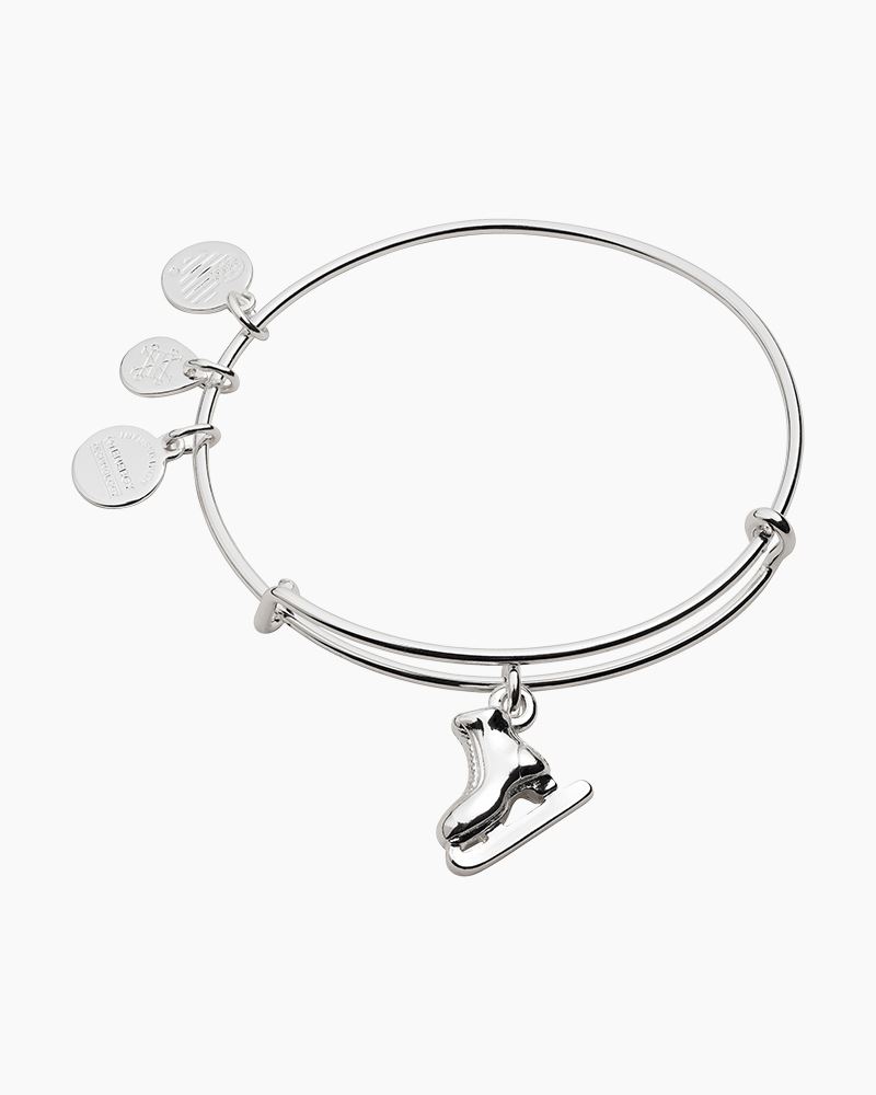 alex and ani skate bracelet