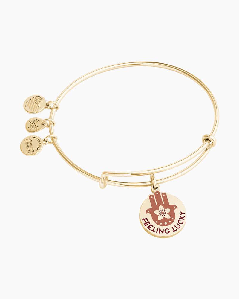 Alex and ani discount charms 75 birthday