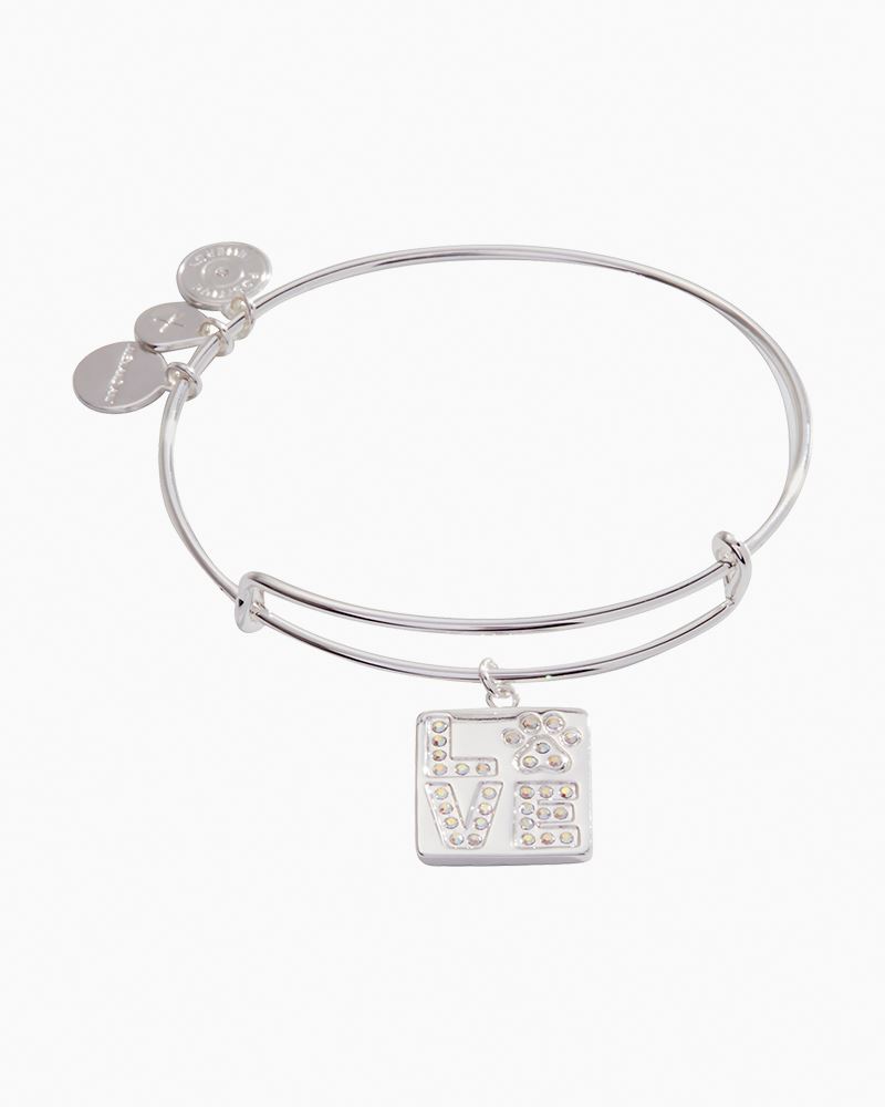 Alex and Ani Initial S Charm Bangle Bracelet in Shiny Silver