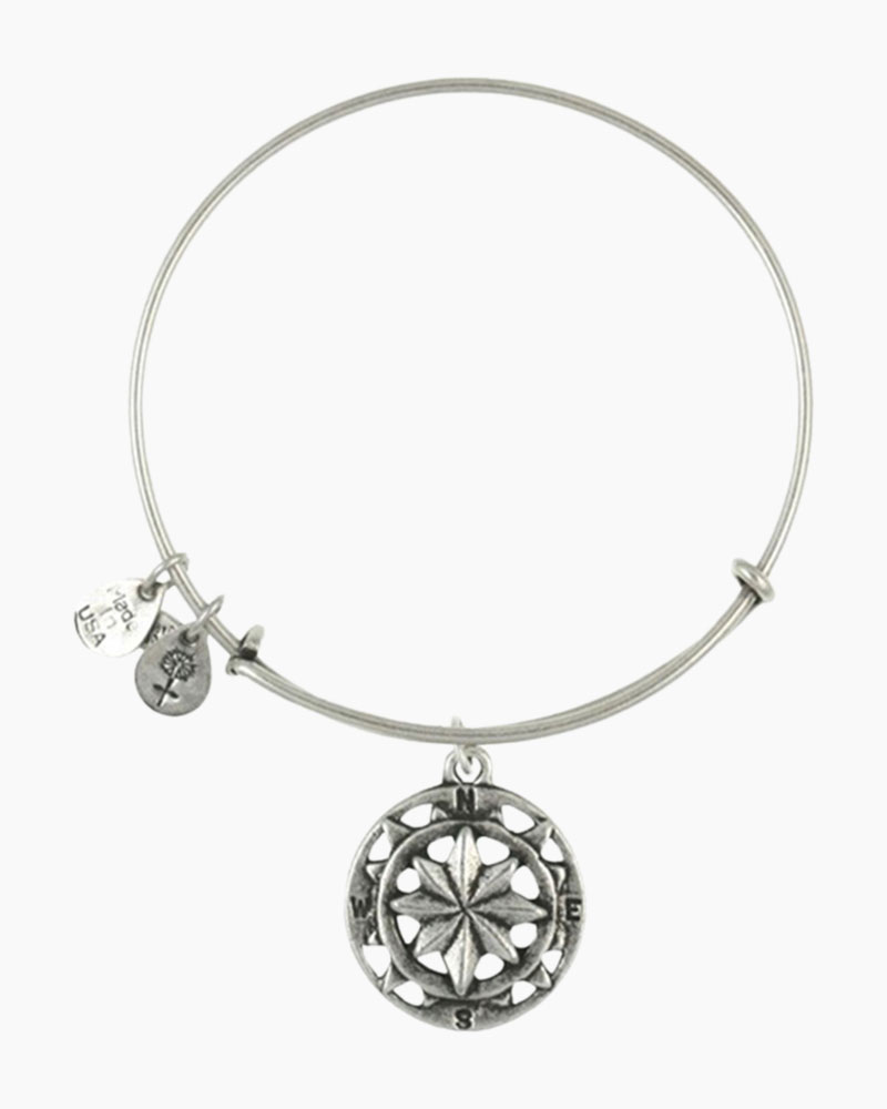 Alex and ani compass charm sale