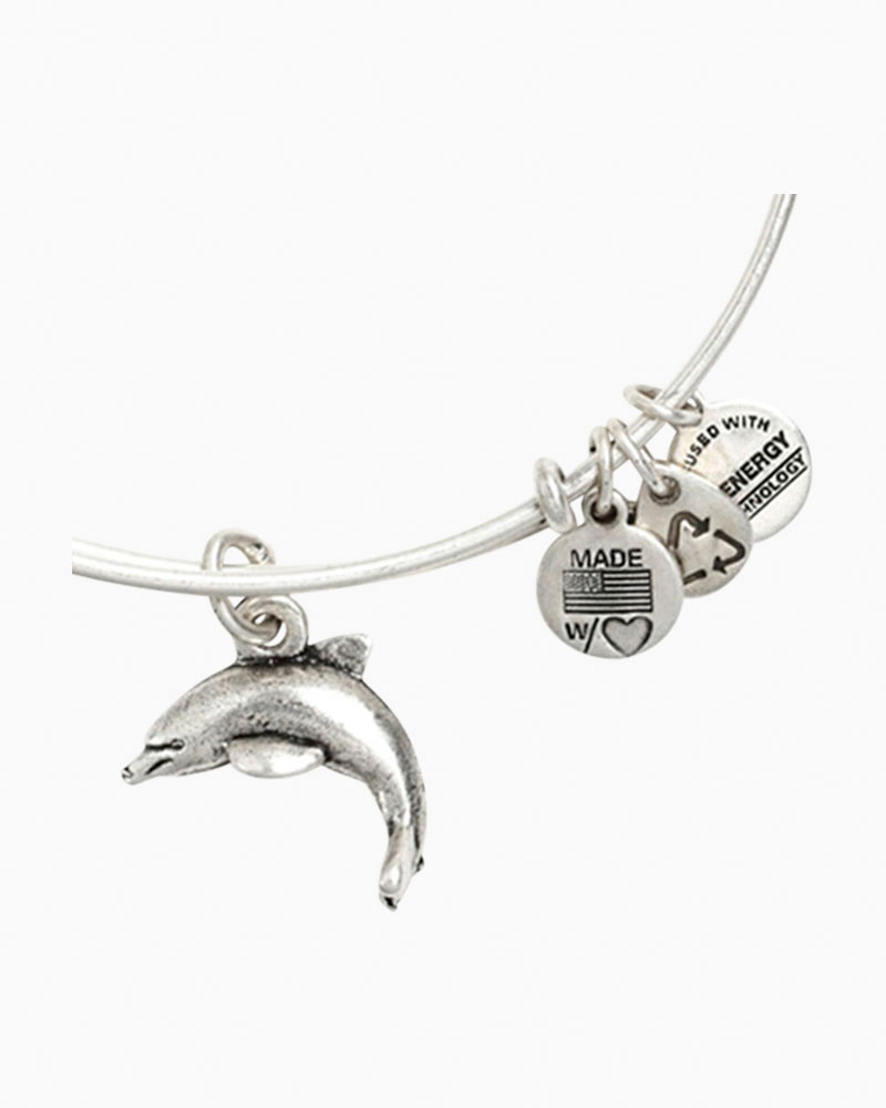 Alex and deals ani dolphin bracelet