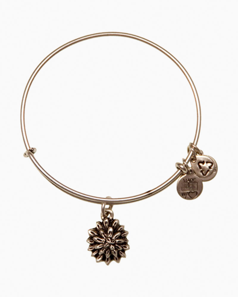 Alex and ani discount living water charm meaning