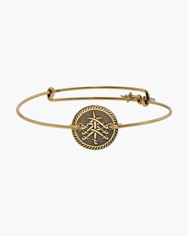 Alex and ani discount seven swords bracelet