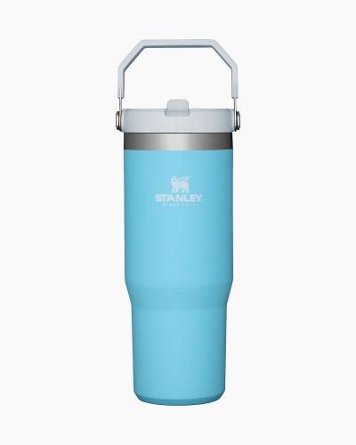 Stanley 30 oz. Quencher H2.0 FlowState Tumbler - Pool Ombre