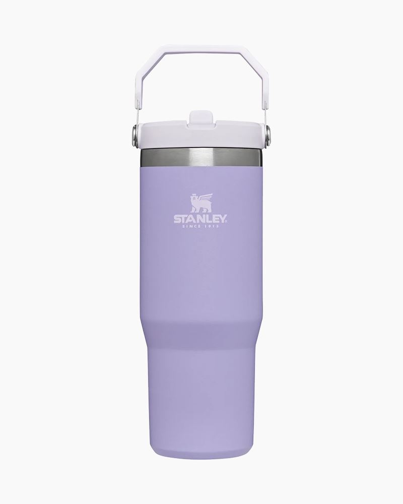Stanley Comforting Purple Quencher 30oz Tumbler Purple in Stainless Steel -  US