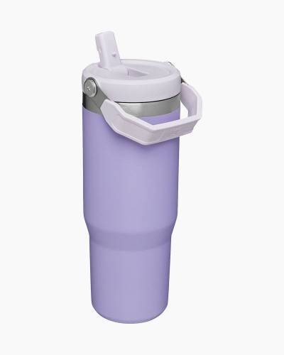 Stanley Iceflow Flip Straw 30 oz. Tumbler— Lavender Color (RARE) BRAND NEW!!