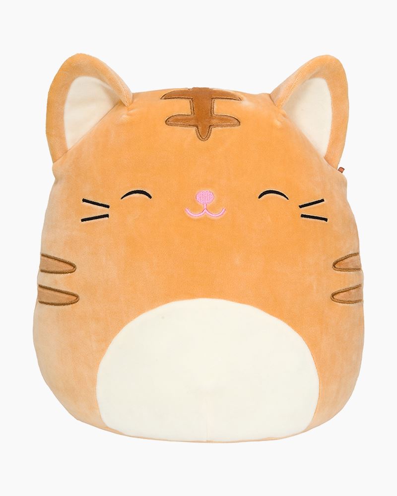 Featured image of post Valentines Day Squishmallow 2021 Cat : Hi everyone, this video is a bit different as i normally open pokémon packs on the channel.