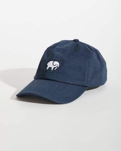 ivory ella baseball cap