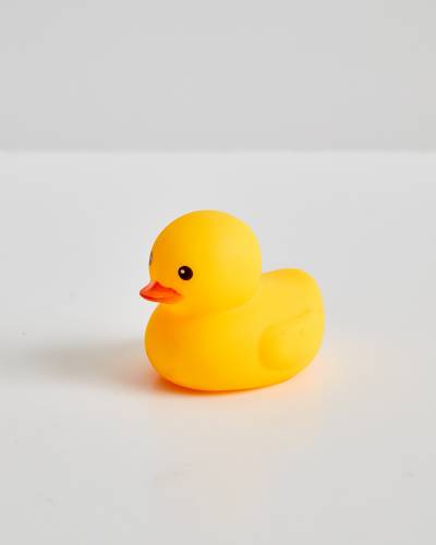 The Paper Store Duck Duck Jeep Rubber Duck | The Paper Store