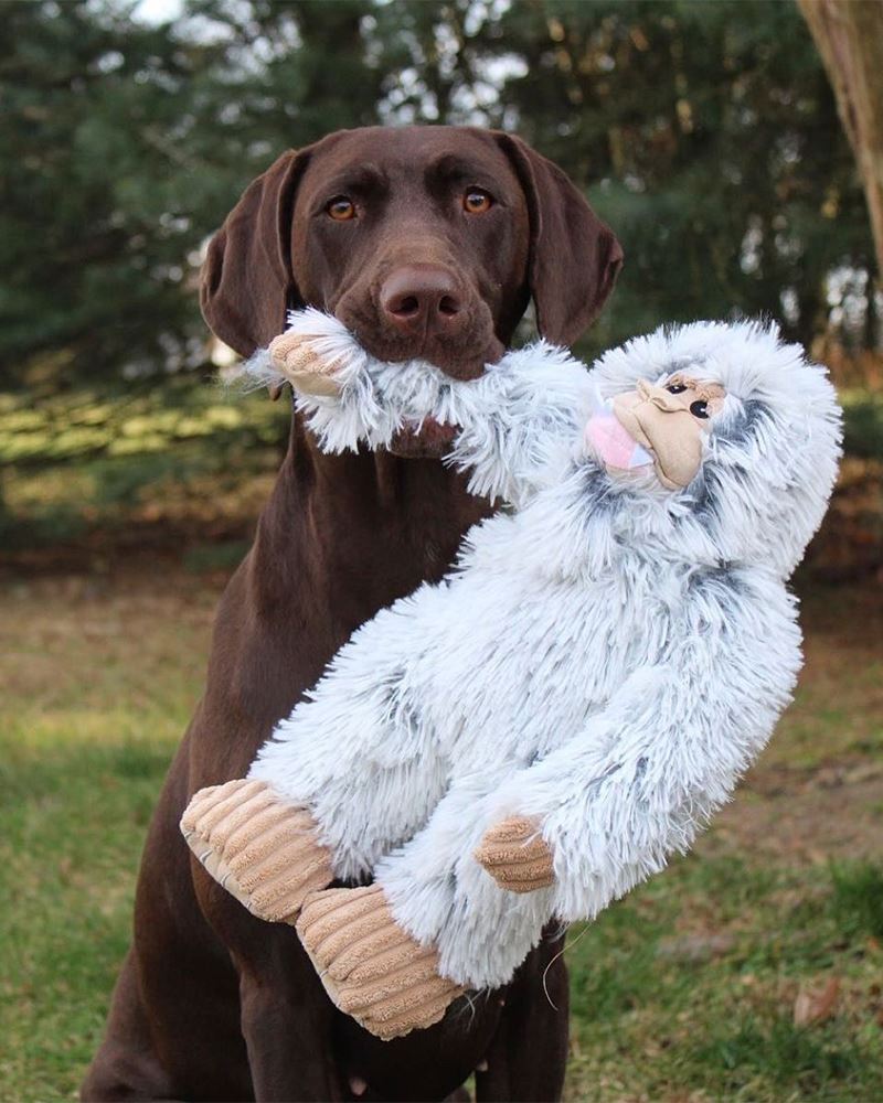 Tall Tails Plush Mini Yeti with Squeaker Dog Toy