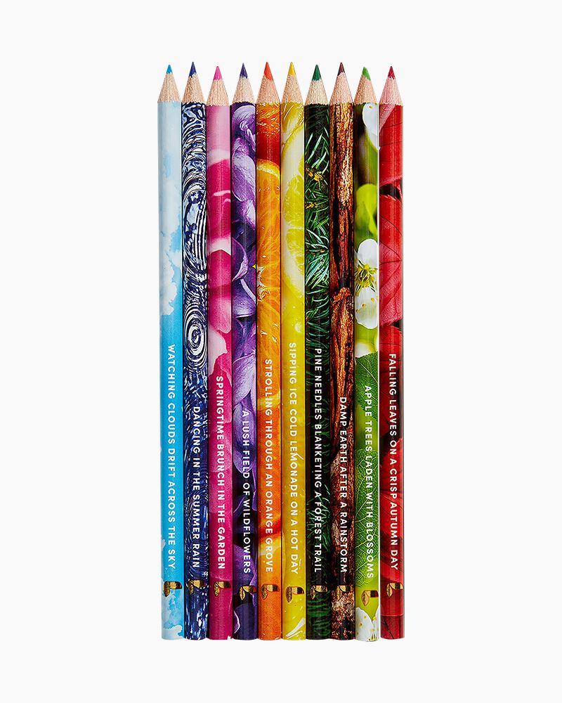 Lifelines Rub Sniff Scented Colored Pencils Assorted Colors Pack Of 10  Pencils - Office Depot