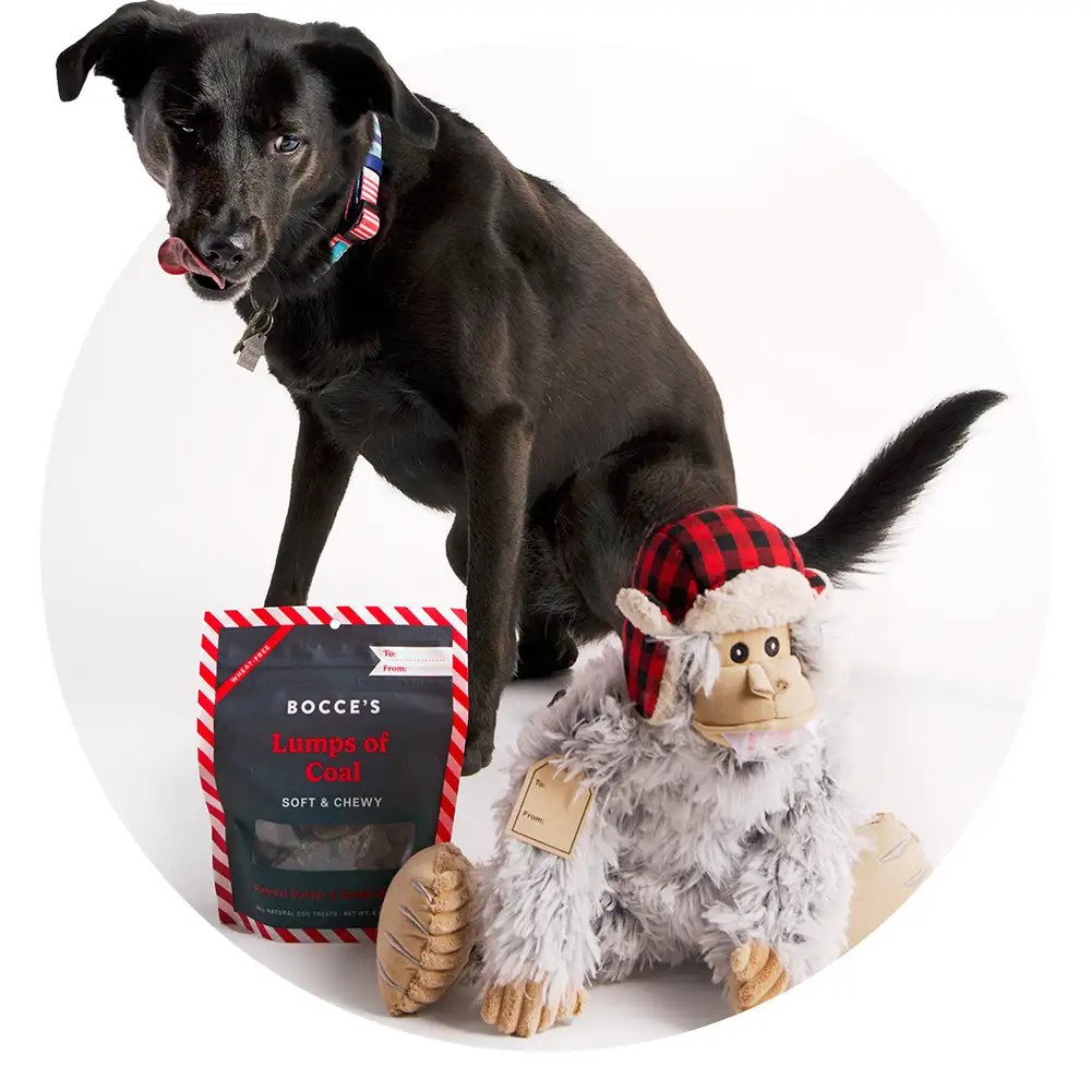 Don't forget the pets! Gifts for pets and gifts for pet- lovers- Shop Now